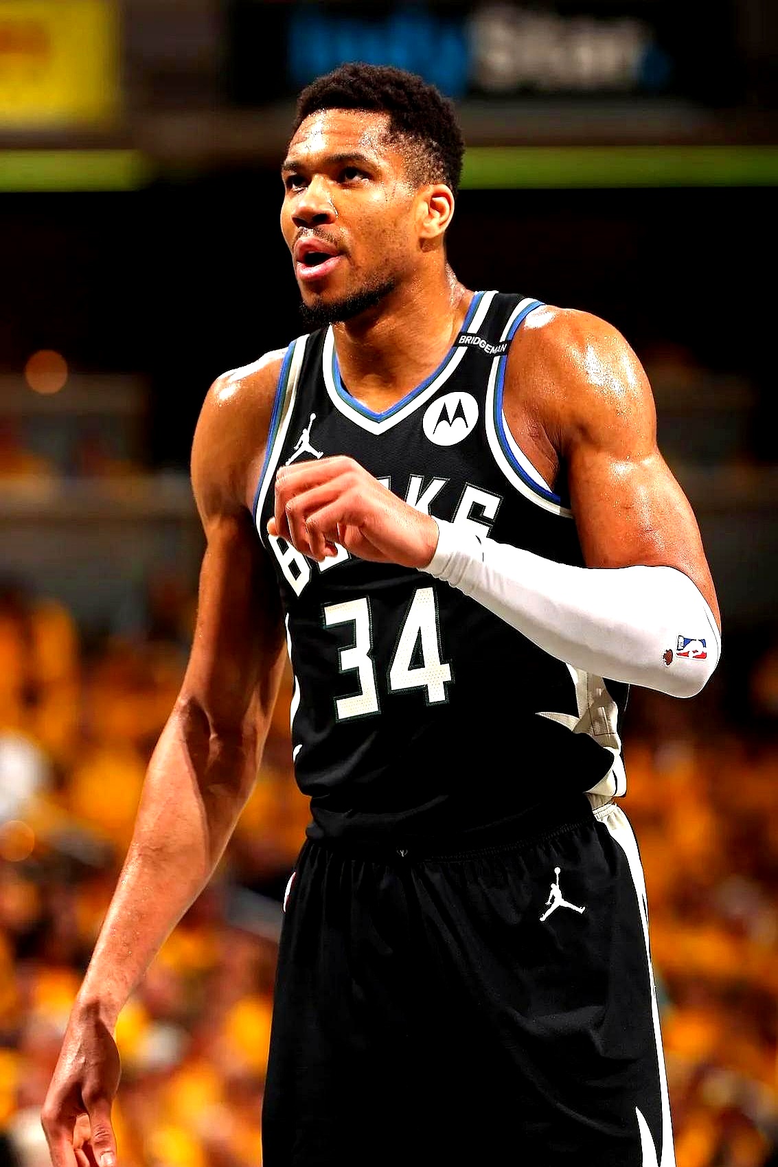 关于雄鹿大胜公牛,字母哥独得35分带领球队胜出的信息 关于雄鹿大胜公牛,字母哥独得35分带领球队胜出的信息